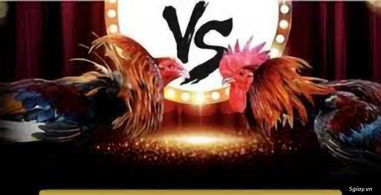 Đá Gà AZ888 Trực Tiếp Sàn Đấu Nảy Lửa Cùng Kê Thủ Chuyên Nghiệp