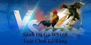 Hướng Dẫn Cách Chơi Đá Gà WS168 Tại AZ888 Từ A Đến Z Cho Kê Thủ