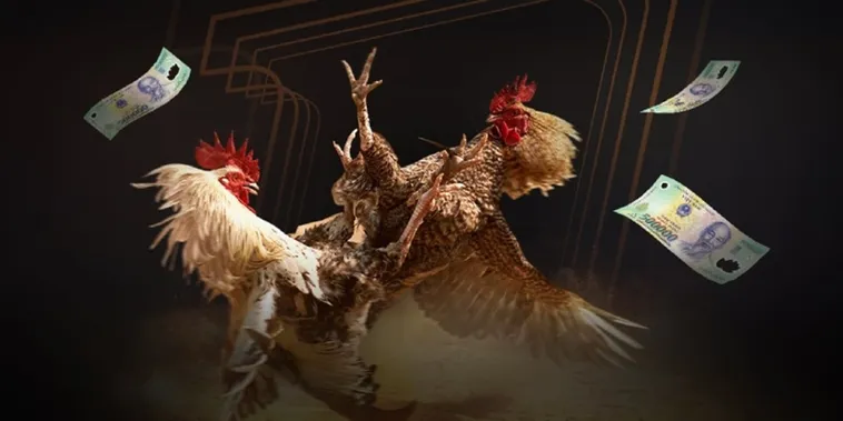 Đá Gà AZ888 Trực Tiếp Sàn Đấu Nảy Lửa Cùng Kê Thủ Chuyên Nghiệp